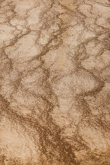 Patterns formed in geyserite from hot spring, Yellowstone National Park
