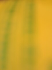 Yellow abstract background 