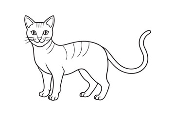 Cat line art drawing