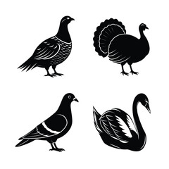 6 difference birds vector art illustration 