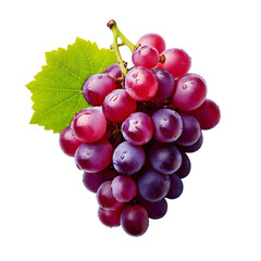 Grapes on Transparent Background