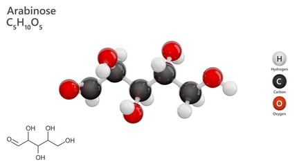 Molecule: Arabinose. Sweetener. Molecular structure. Formula: C5H10O5. Chemical model: Ball and stick. White background. 3D illustration.