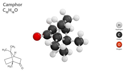 Molecule: Camphor. Anti-infective agent. Molecular structure. Formula: C10H16O. Chemical model: Ball and stick. White background. 3D illustration.