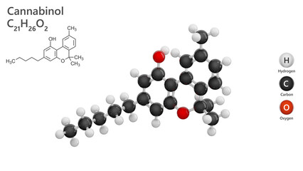 Molecule: Cannabinol. Drug. Molecular structure. Formula: C21H26O2. Chemical model: Ball and stick. White background. 3D illustration.