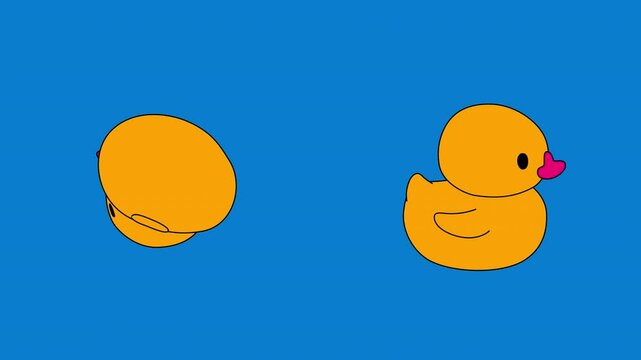 Outline cartoon 3D rotating rubber yellow ducks animations. Cute ducks loop animation on a transparent alpha channel