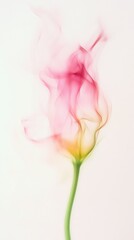 Close-up ethereal smoke aesthetics