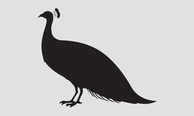 Peacock bird vector silhouette, Peacock bird icon vector art illustration