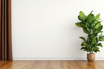 Indoor plant display, contrasted against a white wall, complemented by a brown curtain and warm wood flooring, creating a serene atmosphere.