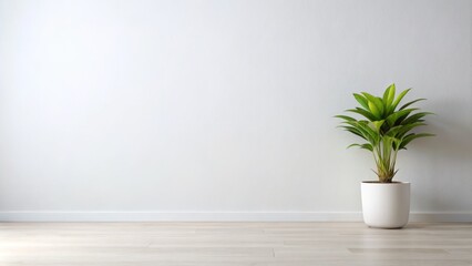 Minimalistic White Wall with Green Plant Accents for Modern Interior Design Inspiration and Serenity