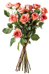Bouquet flowers isolated