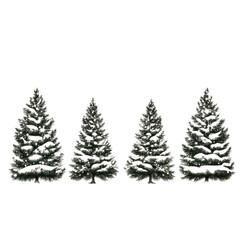 Obraz premium Four Snowy Pine Trees at Night