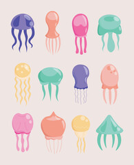 Set of jellyfishes. Green, pink, blue and yellow medusa. Underwater life, fauna and wildlife. Sea or ocean. Aquatic habitats. Flat vector collection © 100% HAND-CRAFTED 