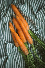 fresh carrots with greens on a kitchen towel
