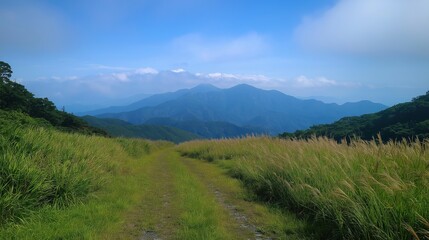 Obraz premium Trekking along a serene mountain path with lush greenery and distant peaks under a clear blue sky