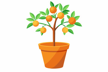 A small citrus tree in the pot isolated on white background Vector illustration