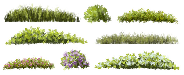 set of grass, Vertor set of spring blossom tree,blooming plants side view  for landscape elevation and section,eco environment concept design,watercolor shrub illustration,colorful season