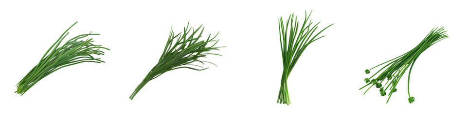 Fototapeta premium Fresh green chives arranged neatly, showcasing vibrant color and texture, perfect for culinary use and enhancing dishes.