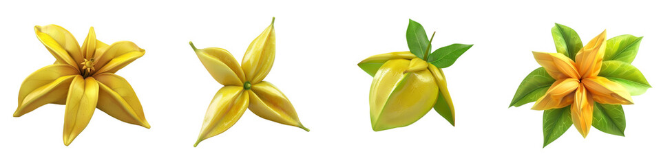 A collection of vibrant star-shaped flowers showcasing their unique colors and designs, perfect for nature enthusiasts and creatives.