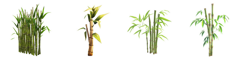 Obraz premium A collection of vibrant, green plants showcasing their unique shapes and textures, perfect for nature-themed projects.