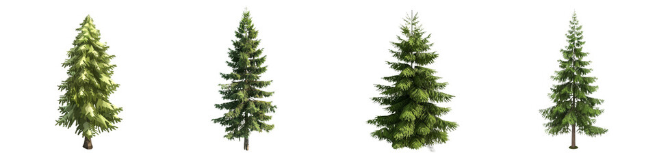 A collection of four elegant evergreen trees, showcasing their lush green foliage against a clean background, perfect for nature-themed designs.