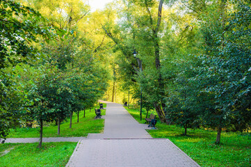 A park with a path lined with trees and benches