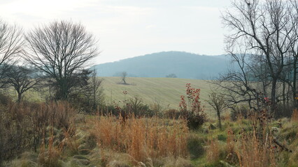 The valley Forge view with the meadows and woods in the USA
