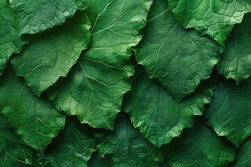 Rough natural leaf texture 32k UHD insane detail