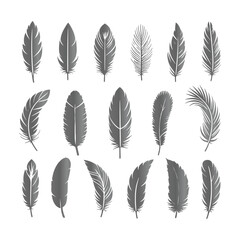 A shilhoutte feather vector design with white background