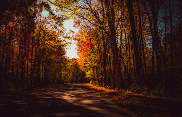 Fototapeta premium Fall drive
