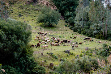 Beautiful landscape view from the north of Tunisia