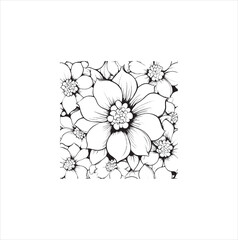 white flower isolated on white