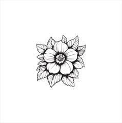 white flower isolated on white