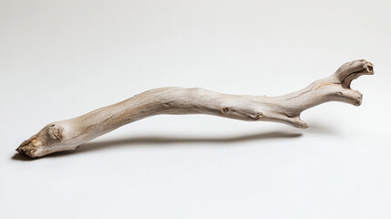 Curved piece of weathered driftwood against a smooth white background, showcasing natural textures and organic form.