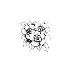 white flower isolated on white