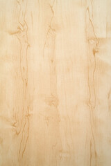 Naklejka premium old wood texture