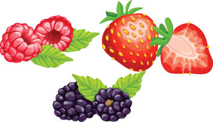 raspberry and blackberry