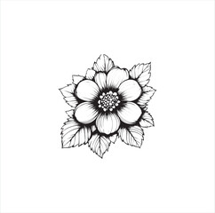 white flower isolated on white