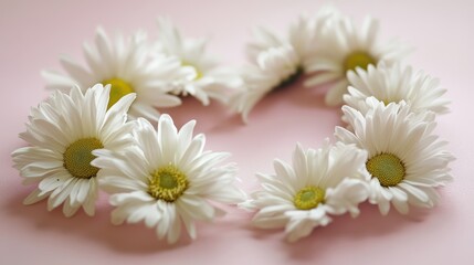 Fototapeta premium Daisy heart arrangement on pale pink background with soft focus