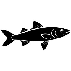 fish on a white background