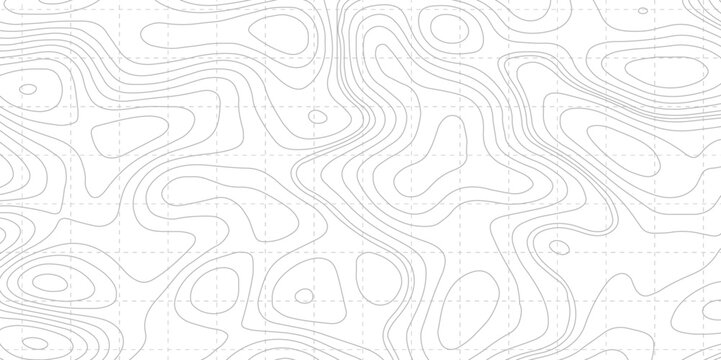 Topography background vector geographic contour map. Abstract pattern with lines. 