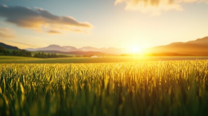 Serene Sunrise Over Green Fields with Mountains in Background