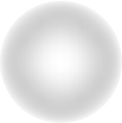 Grey Globe Icon with Americas View