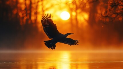 Silhouette of bird in flight at sunrise over calm water.