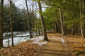 Beautiful landscape of the Ice Age Trail passing through a forest beside a partly frozen Eau Claire River on a Winter day near Aniwa, Wisconsin.