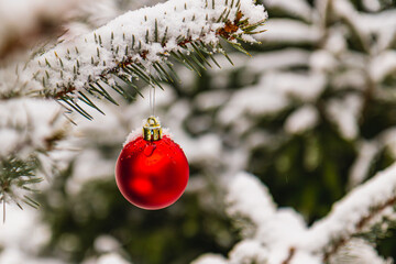 Christmas tree is adorned with vibrant red ornaments and a soft layer of snow