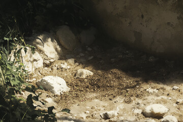 Obraz premium Painting of soil in a garden bed