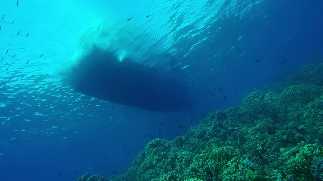Bottom view of schools of fish are swimming over a coral reef next to a ship, Underwater shoot, Slow motion of a silhouette of a diving boat view from the seabed