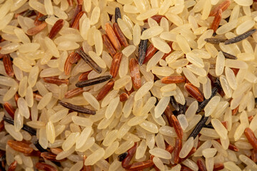 Macro zenithal photograph of wild rice, red and large