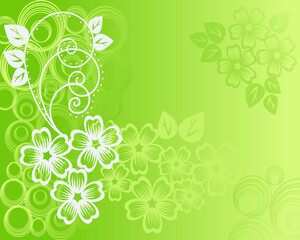 Spring wallpaper with plant branches and flowers on green background