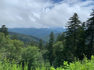 Obraz premium mountains in the distance